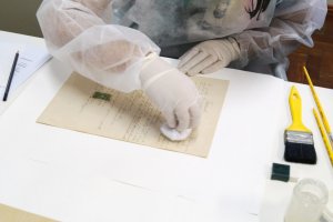 Desinfecção / Higienização de Documentos e Fotos