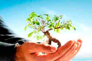 Introdução à Gestão e Licenciamento Ambiental