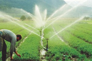 Projetos de Irrigação