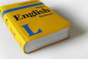 Técnicas de Tradução e Interpretação em Inglês