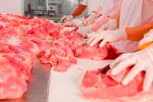 Manipulação de Carnes