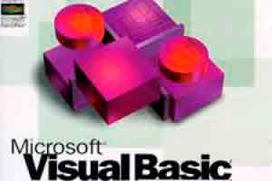 Visual Basic