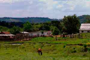 Introdução à avaliação de imóvel rural 