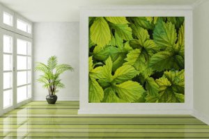 Porcelanato Líquido 3D (Técnica de Dubai)