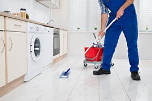 Limpeza e Higienização