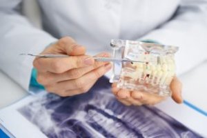 Introdução à Anatomia Dental
