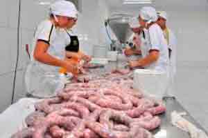 Processo de Fabricação da Linguiça