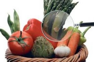 IFS Food - Versão 6