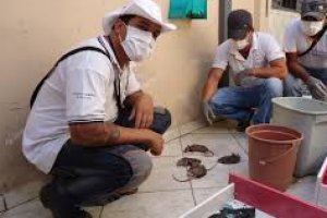 Agente de Apoio de Zoonoses