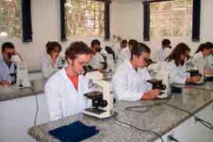 Introdução aos Sistemas Biomédicos