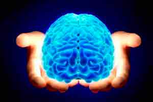 Introdução à neuropsicologia