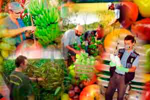 Introdução à Defesa Sanitária Vegetal