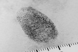 Introdução à Criminologia e a Segurança Pública