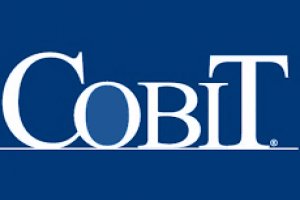Fundamentos de COBIT 