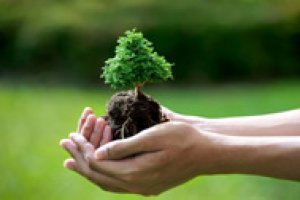 Introdução ao Licenciamento Ambiental