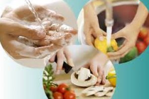 Boas Práticas de Higiene e Manipulação de Alimentos 
