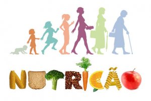 Nutrição no Ciclo de Vida