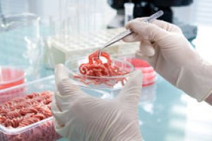Introdução à Inspeção de Alimentos de Origem Animal 