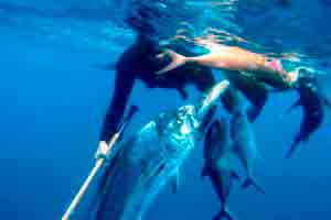 Pesca Submarina 