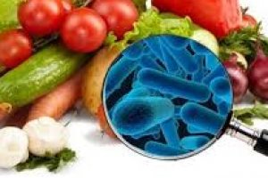 Sistema HACCP aplicado à Hotelaria e à Restauração