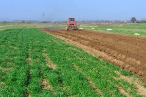 Operador Agrícola - Culturas Arvenses/Horticultura