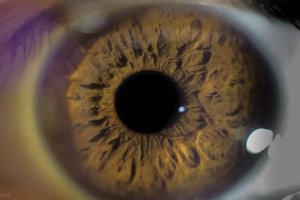 Introdução à Saúde Ocular