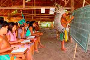Educação