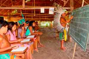 Educação Indígena 