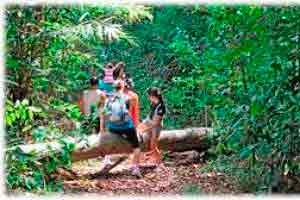 Iniciação ao Ecoturismo 