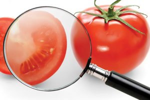 Pré- Requisitos do sistema HACCP