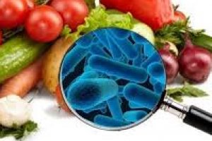 Sistema HACCP