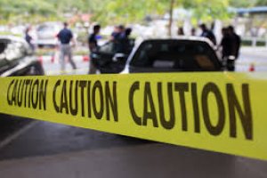 Introdução à Agentes Públicos e Privados na Cena de um Crime