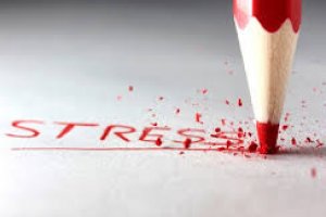 Gestão do Stress