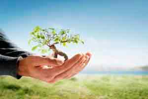 Introdução ao Direito Agroambiental