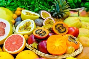 Fruticultura Básica em Clima Tropical