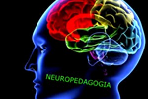 Introdução à Neuropedagogia