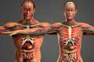 Introdução à Fisiologia Geral