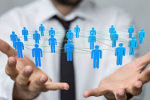 Coaching Organizacional e Desenvolvimento de Equipas