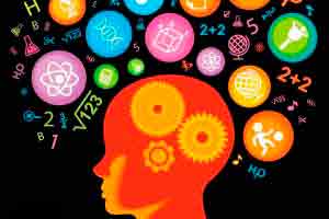 Introdução à Neuropsicopedagogia