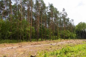 Recursos Florestais e Ambientais