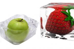 Congelamento de comida fitness