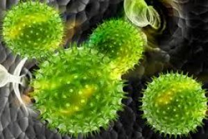 Introdução à Microbiologia Ambiental