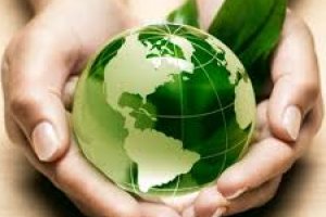 Agente de Desenvolvimento Socioambiental 