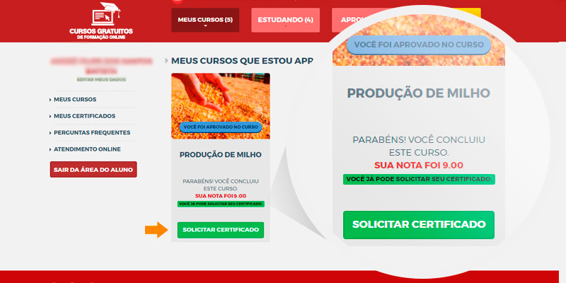 Como Funciona a Avaliação